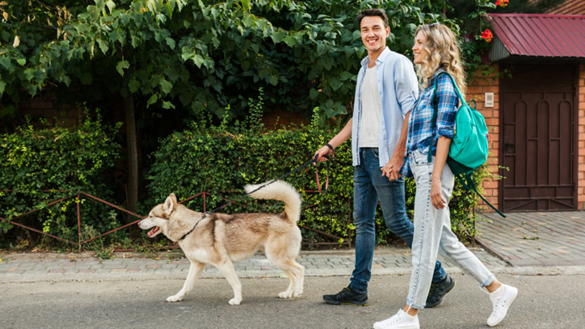 建设宠物友好型社区 物业管理公司应该使用这个智能助手插图1