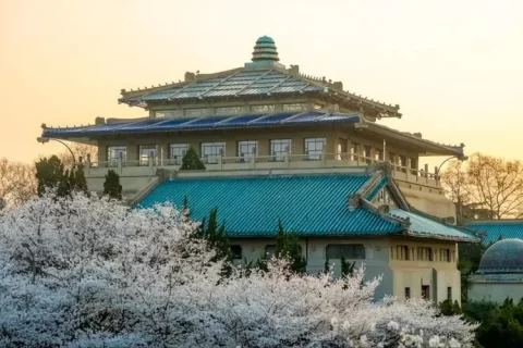 武汉大学生命科学院-住云物业管理平台系统服务案例